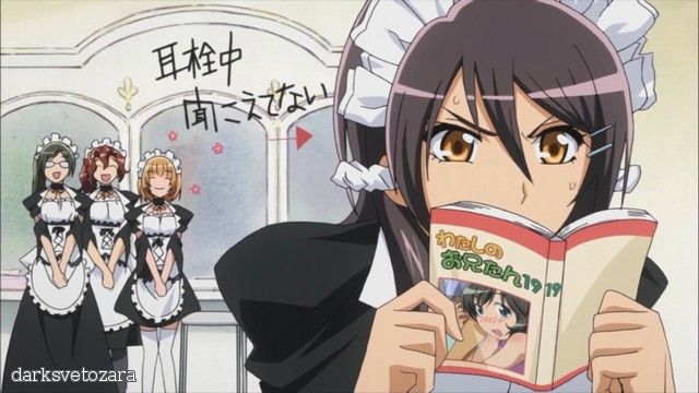 Скачать аниме Президент - горничная! / Kaichou wa Maid-sama! [ТВ][26 из 26]RUS