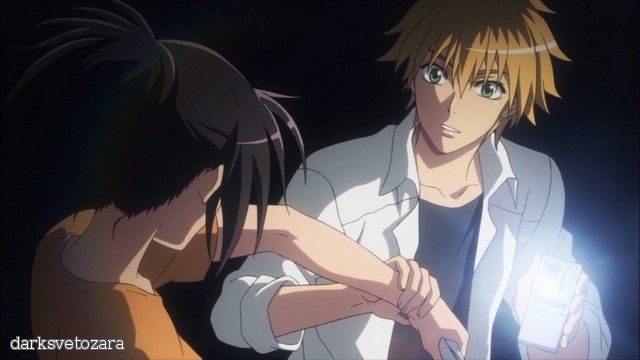 Скачать аниме Президент - горничная! / Kaichou wa Maid-sama! [ТВ][26 из 26]RUS