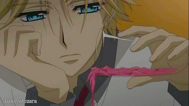 Скачать аниме Рыцарь-вампир / Vampire Knight [ТВ][13 из 13]RUS