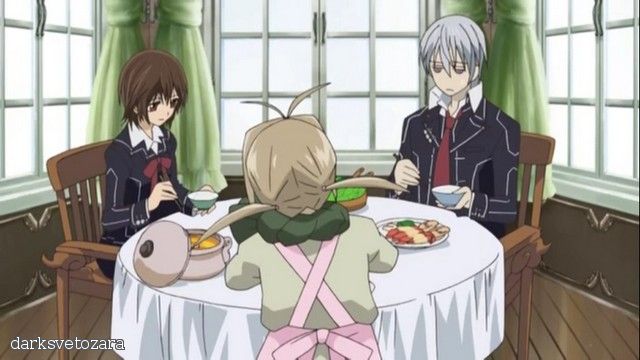 Скачать аниме Рыцарь-вампир / Vampire Knight [ТВ][13 из 13]RUS