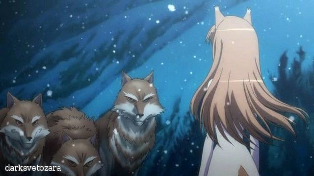 Скачать аниме Волчица и пряности 2 / Wolf and Spice 2 [14 из 14]RUS